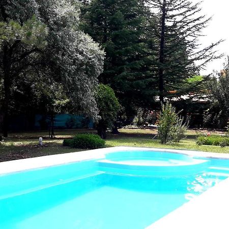 Casa Rural Entre Bodegas Y Vinedos ' El Jarillal" La Consulta Exteriör bild