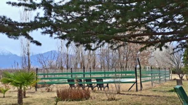 Casa Rural Entre Bodegas Y Vinedos ' El Jarillal" Pensionat La Consulta Exteriör bild