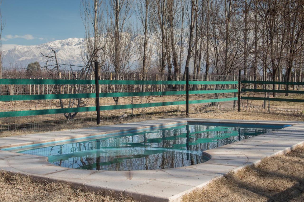 Casa Rural Entre Bodegas Y Vinedos ' El Jarillal" Pensionat La Consulta Exteriör bild