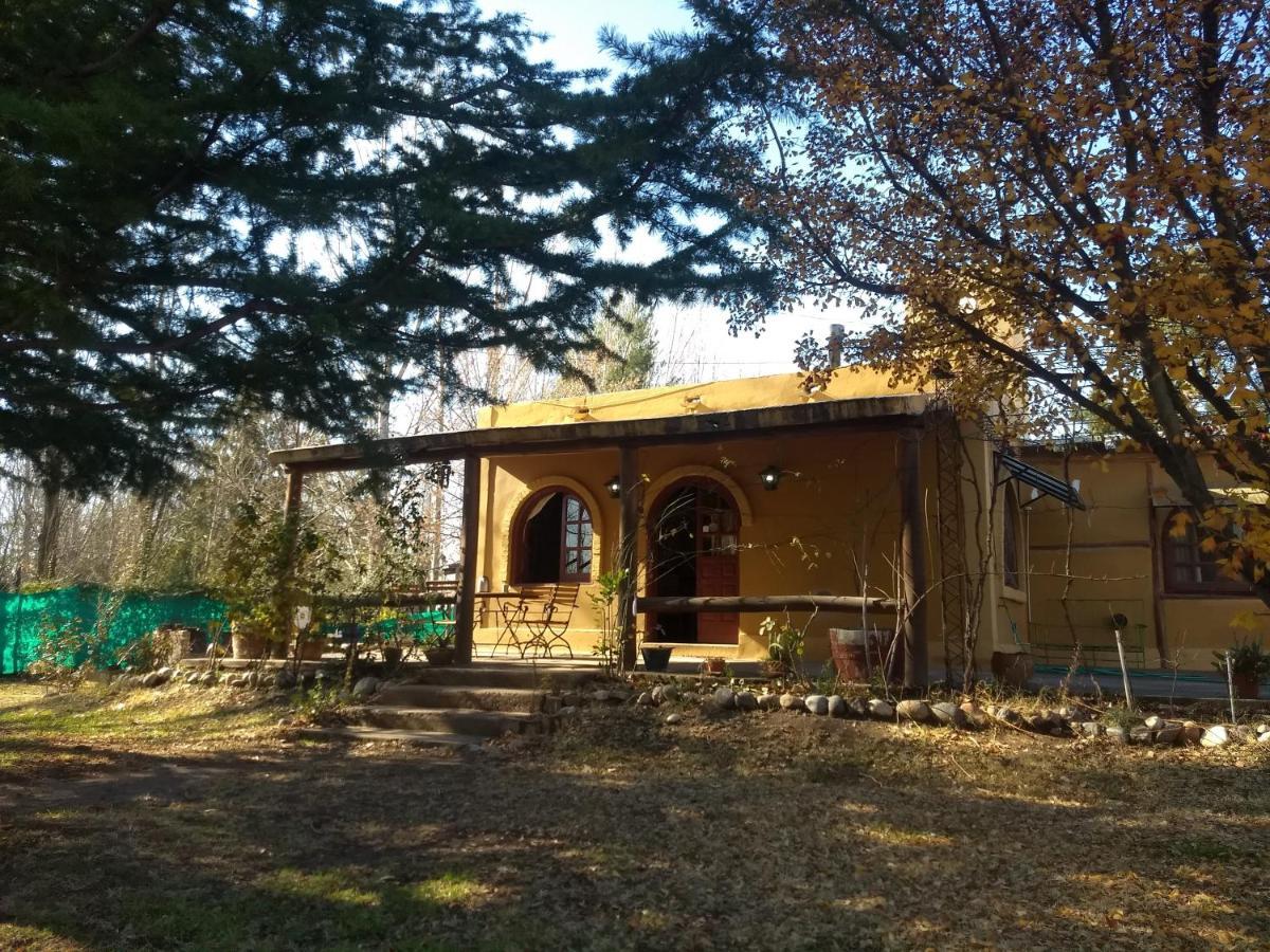 Casa Rural Entre Bodegas Y Vinedos ' El Jarillal" Pensionat La Consulta Exteriör bild