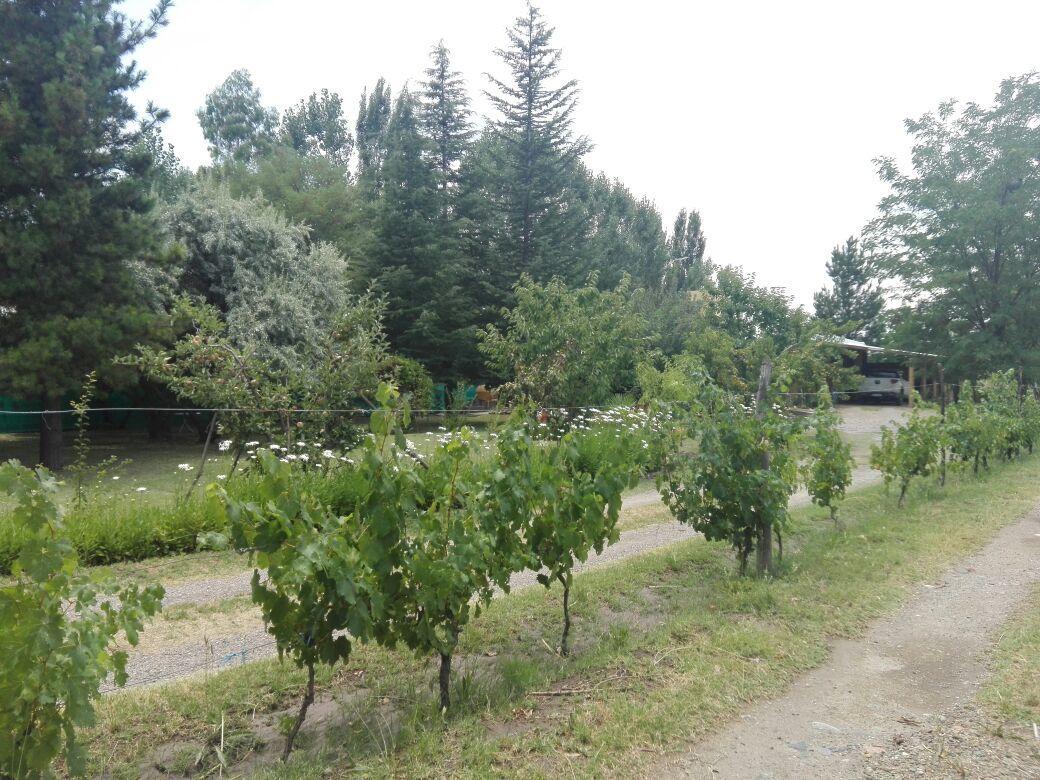 Casa Rural Entre Bodegas Y Vinedos ' El Jarillal" Pensionat La Consulta Exteriör bild