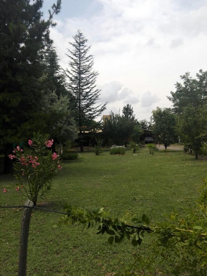 Casa Rural Entre Bodegas Y Vinedos ' El Jarillal" La Consulta Exteriör bild
