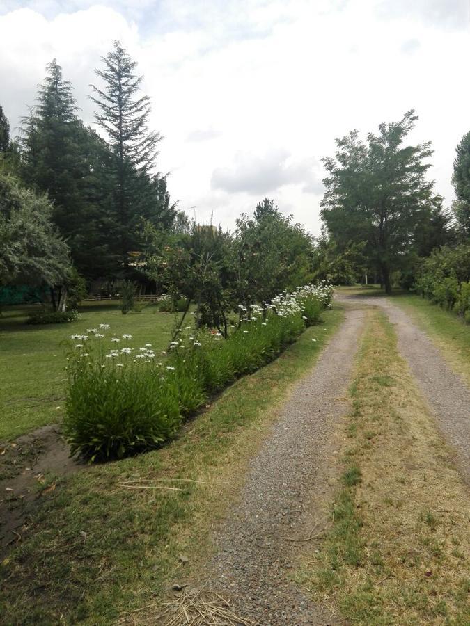 Casa Rural Entre Bodegas Y Vinedos ' El Jarillal" Pensionat La Consulta Exteriör bild